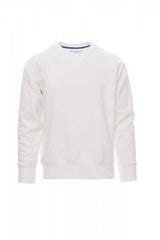 MISTRAL+ – Basics