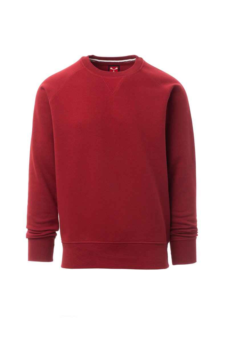 MISTRAL+ – Basics