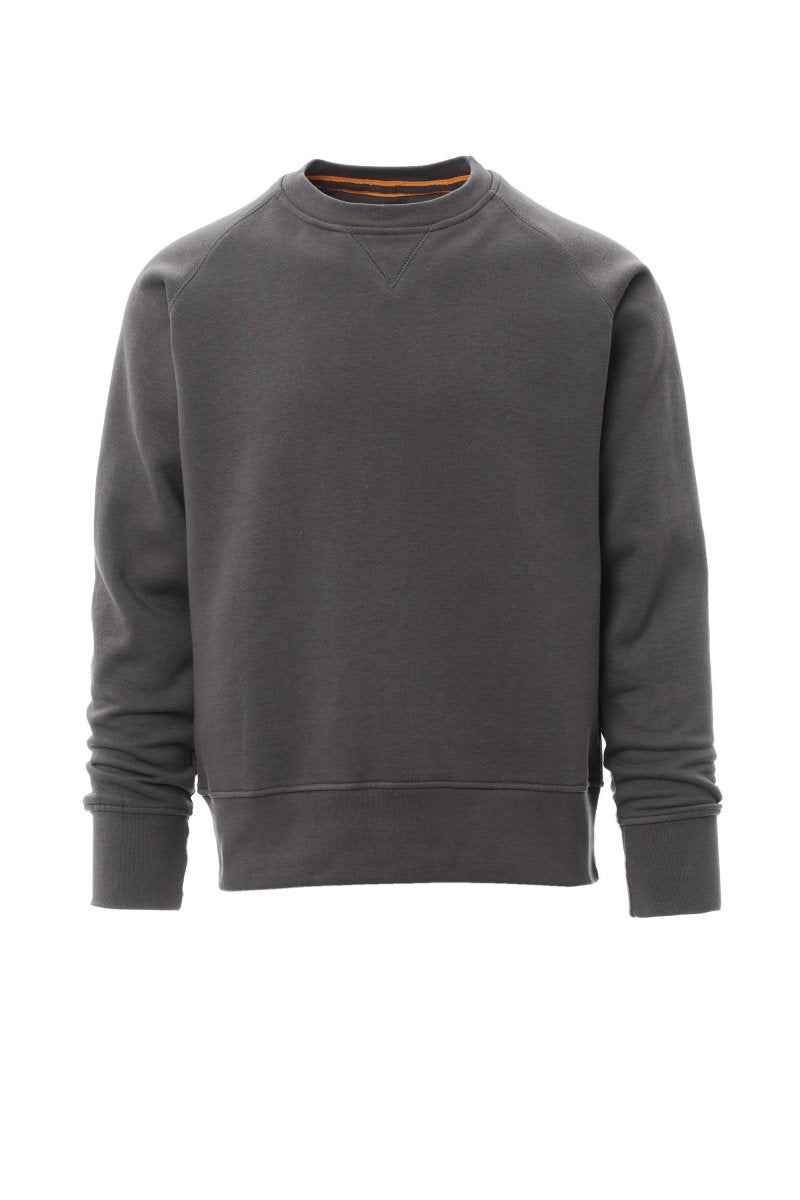 MISTRAL+ – Basics
