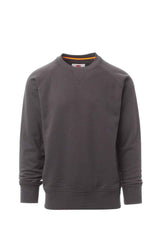 MISTRAL+ – Basics