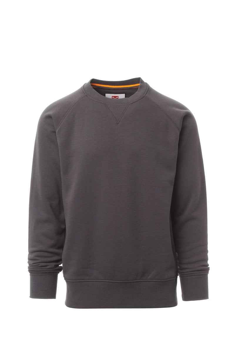 MISTRAL+ – Basics
