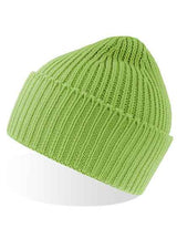 Oak Beanie - AT100