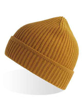 Maple Beanie - AT101
