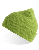 Nelson Beanie - AT116