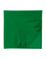 Bandana Goal-S - AT371