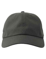 Dad Hat-S - AT681