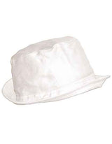 Sonnenhut - C100