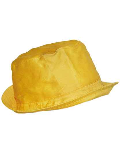 Sonnenhut - C100