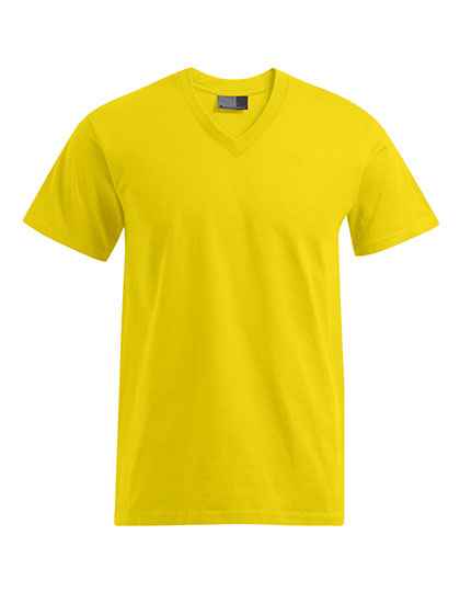 Premium V-Neck-T - E3025