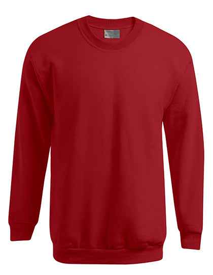 Men´s New Sweater 100 - E5099N