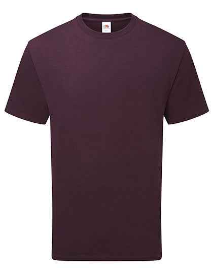 Pure Cotton T - F362