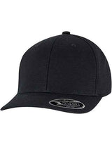 Flexfit 110 Curved Snapback - FX9293