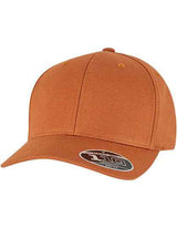 Flexfit 110 Curved Snapback - FX9293