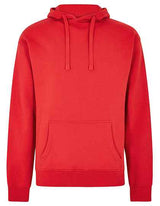Regular Fit Hoodie - K333