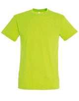 Regent T-Shirt 150 - L150