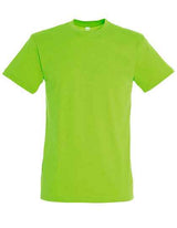 Regent T-Shirt 150 - L150