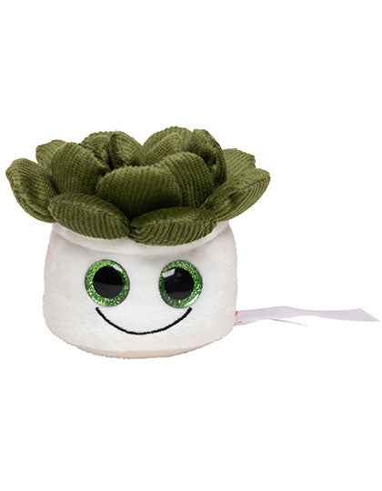 Schmoozies® Evergreenies® Sukkulente - MBW160849