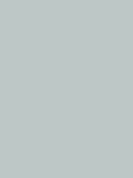 Polyneon 40 Green (5.000 m) - MD400R