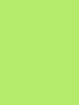 Polyneon 40 Green (5.000 m) - MD400R