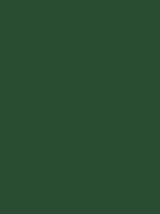 Polyneon 40 Green (5.000 m) - MD400R