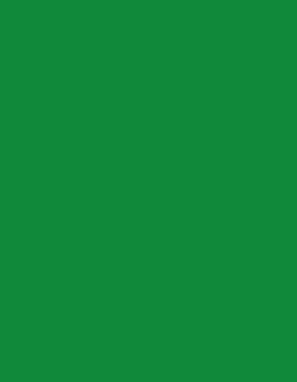 Polyneon 40 (1.000 m) - MD400