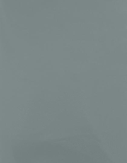 CAD-CUT® SportsFilm - SA150