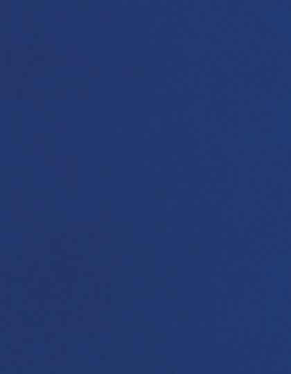 CAD-CUT® Flock - SA350