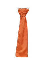Satin Scarf - TT601
