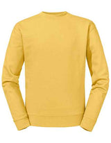 The Authentic Sweat - Z262N